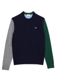 Marineblauer Pullover mit grauen, grünen und dunkelblauen Ärmeln. Verfügt über einen runden Halsausschnitt und ein kleines Lacoste-Logo auf der Brust. Weiche Stricktextur.