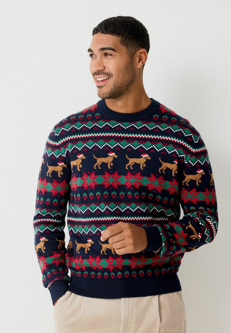 Ein Mann lächelt und schaut nach links, trägt einen dunkelblauen Weihnachtspullover mit Hunden in Weihnachtsmannmützen sowie festlichen Mustern in Rot, Grün und Weiß.