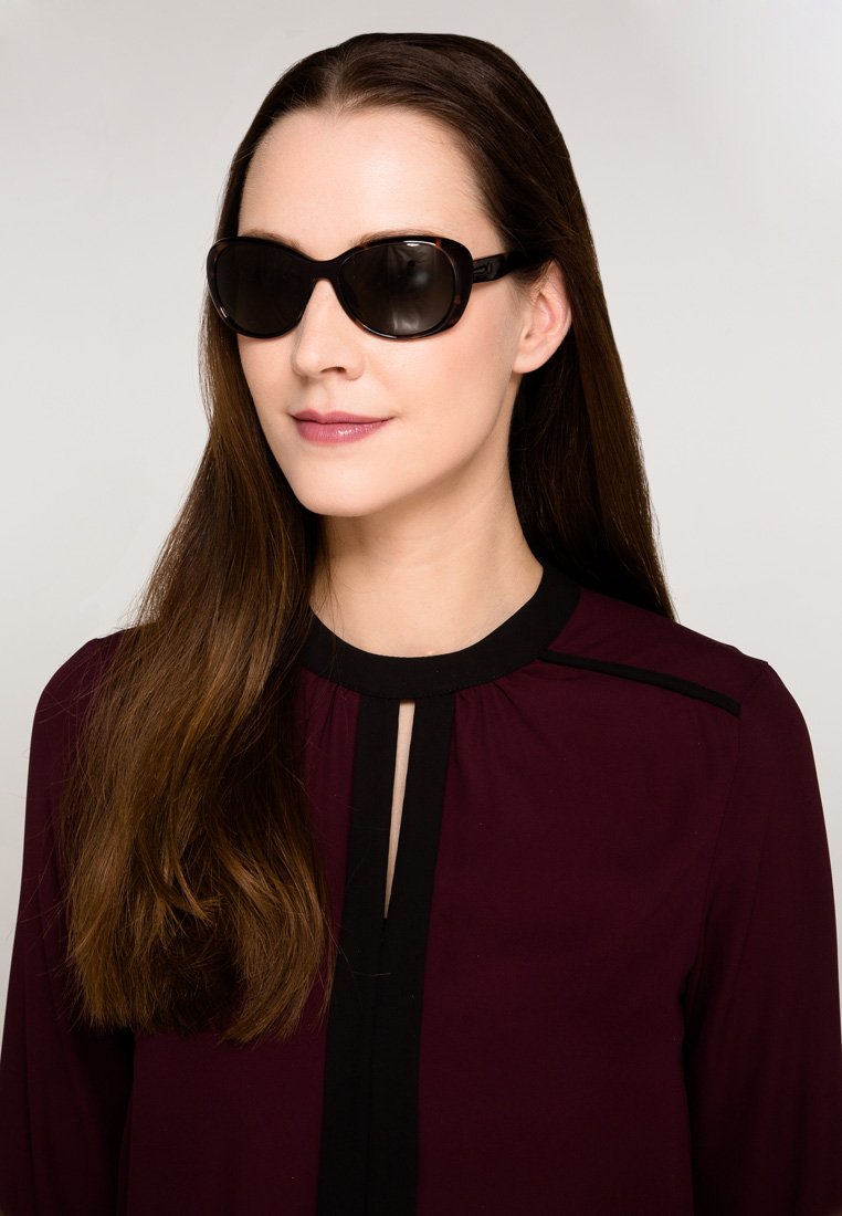 calvin klein havana glasses