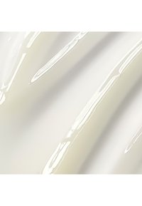 Immagine in miniatura 8