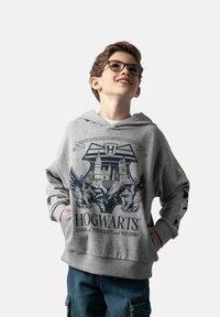 Szara bluzka z kapturem z logo Hogwartu, przedstawiająca grafikę zamku oraz skrzydlate stworzenia. Długie rękawy z akcentami wzorniczymi. Wykonana z materiału bawełnianego z dodatkiem innych włókien.