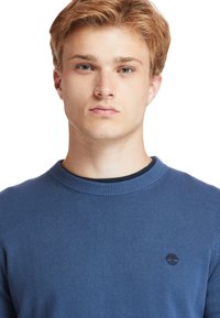 Maglione blu lavorato a maglia con scollatura rotonda, dettagli a coste e un piccolo logo ricamato sul lato sinistro del petto. Tessuto liscio, design casual.