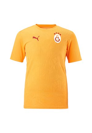 Puma, PUMA GALATASARAY ISTANBUL TRAINING T-SHIRT REPLICAS - T-SHIRTS - NATIONAL - Fußball-Trikot - gelb