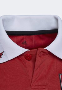 adidas Performance Artykuły klubowe