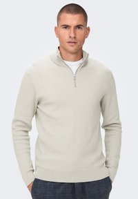 Only & Sons ONSPHIL HALF ZIP  - Maglione - weiß