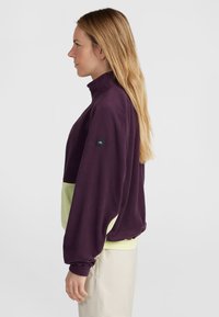 Fleece pullover in donkerpaars met een lichtgroene accenten aan de onderkant. Beschikt over een hoge kraag en elastische manchetten. Logo-opdruk op de mouw.