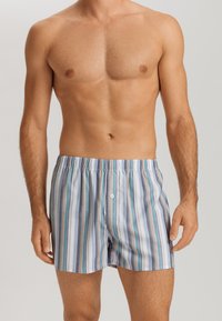 Boxer in cotone a righe con linee verticali blu, grigio e bianco, dotati di una vita elasticizzata e chiusura a bottone frontale.