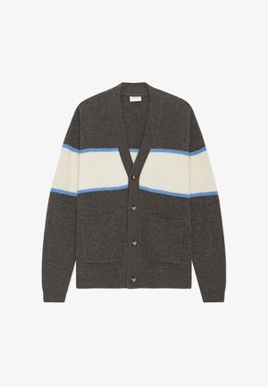 Cardigan grigio in lana con scollo a V, chiusura con bottoni, due tasche frontali e righe orizzontali color crema e azzurro chiaro sul petto.