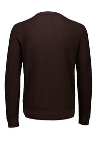 Ruskea neule, jossa on teksturoitu timanttikuvio, pitkät hihat ja ribbaus kaula-aukossa ja hihoissa.