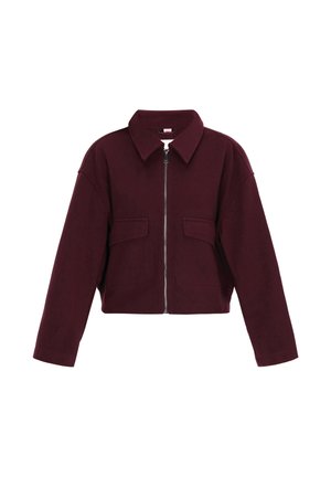 Burgundy cropped jacket made of soft fabric, featuring a front zipper, pointed collar, and two front pockets. Long sleeves with a relaxed fit.