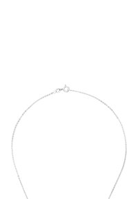 Collana a catena in argento con un design delicato, dotata di chiusura a moschettone e maglie sottili, esposta su uno sfondo bianco.