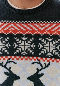 Gestrickter Pullover mit dunkelgrünem Grundton. Geometrische Muster in Rot, Weiß und Blau, mit deutlich sichtbaren Rentiersilhouetten und Schneeflocken.