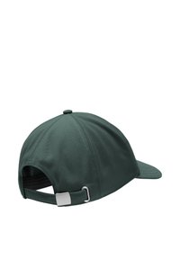 Non sélectionné, sago palm