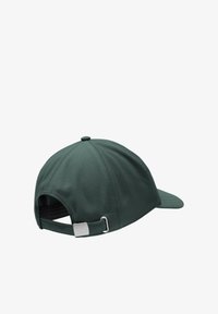 Non sélectionné, sago palm