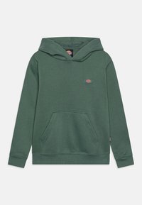 Dickies Jersey con capucha - dark green
