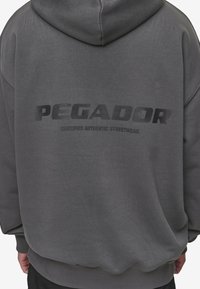 Pegador COLNE LOGO HOODIE - Majica s kapuljačom - washed anthracite/black