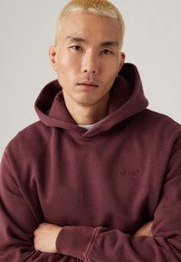 Maroon hoodie made of soft fabric with a front pocket. Features a drawstring hood and embroidered logo on the chest.