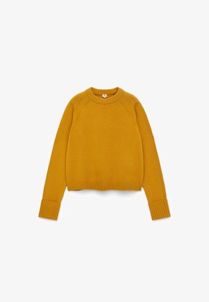 Mustard yellow sweater with a round neckline, ribbed cuffs and hem, and raglan sleeves. Smooth texture and simple design.