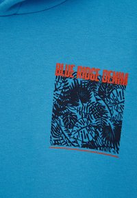 Tyrkysová bavlněná mikina s kapucí, která má tmavý vzor listů v logovém rámečku s nápisem "BLUE RIDGE DENIM" v tučném červeném písmu v levém horním rohu.