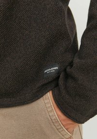 Jack & Jones JJEHILL ROLL NECK - Maglione - seal brown