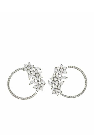 SALAMANDER - Earrings - silver coloured