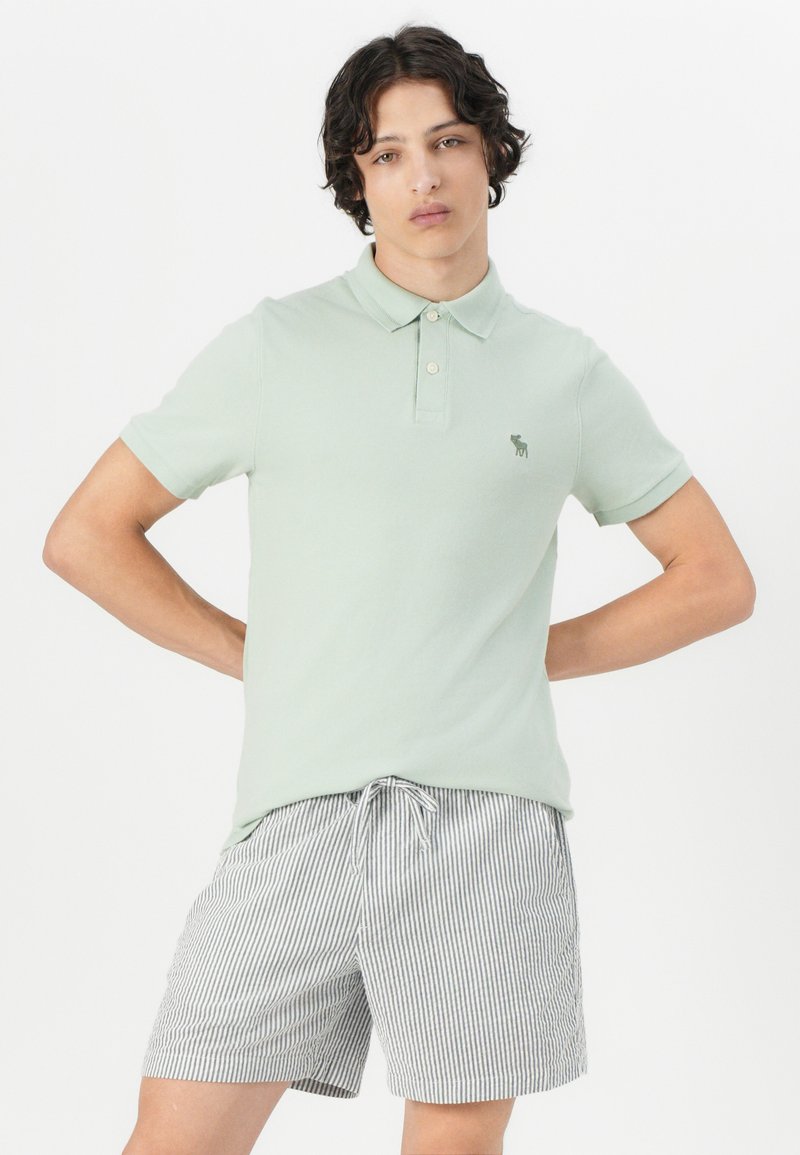 Abercrombie Fitch TEXTURED ICON Polo shirt light green/green