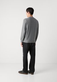 BOSS ANION - Vesta - light pastel gray