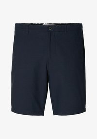 Pasirinkta, sky captain