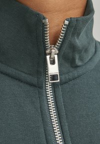 Jack & Jones Junior JORVESTERBRO QUARTER ZIP - Sweatshirt - magical forest