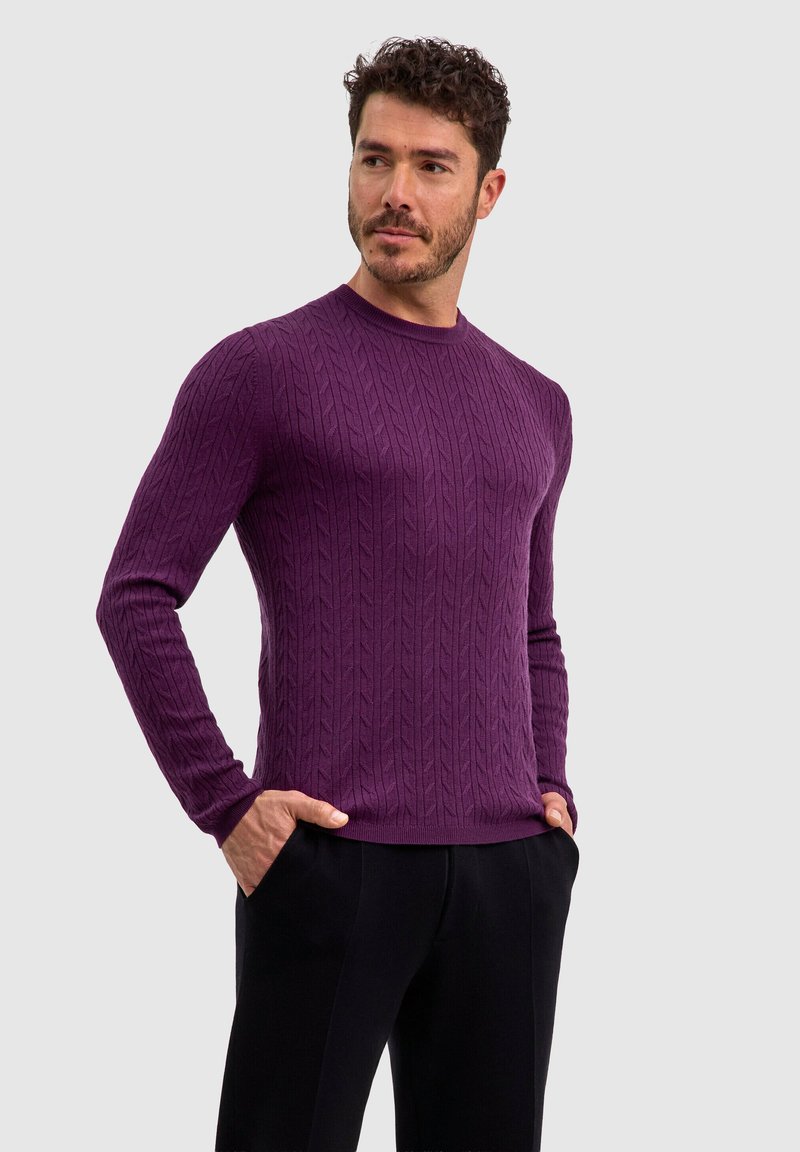 Maglione a maglia viola con un motivo a treccia testurizzato, colli rotondo e maniche lunghe, abbinato a pantaloni scuri. Finitura del tessuto liscia.
