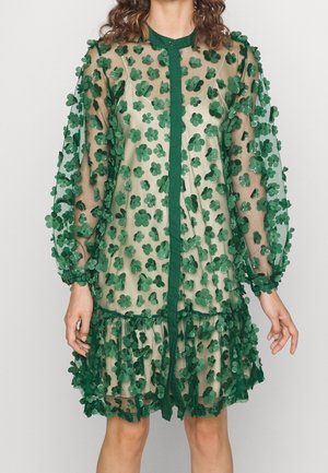 Doorzichtige beige jurk met lange mouwen, bedekt met 3D groene bloemapplicaties en een groene bies aan de voorkant en zoom.