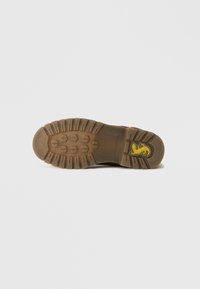 Brūnas zābaka zole ar dziļiem zīmējumiem un dzeltenu pūķa logos blakus papēdim, uz vienkārša balta fona.