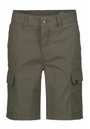 Shorts - grey