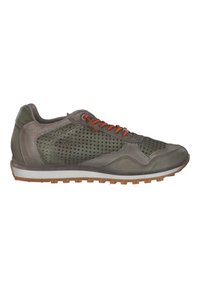 Cetti Sneaker low - nature tin wasabi