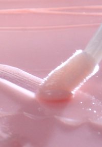 Lipglossapplicator met een pluizige tip, gedoopt in lichtroze gloss. Het oppervlak is glad en glanzend, en reflecteert licht.