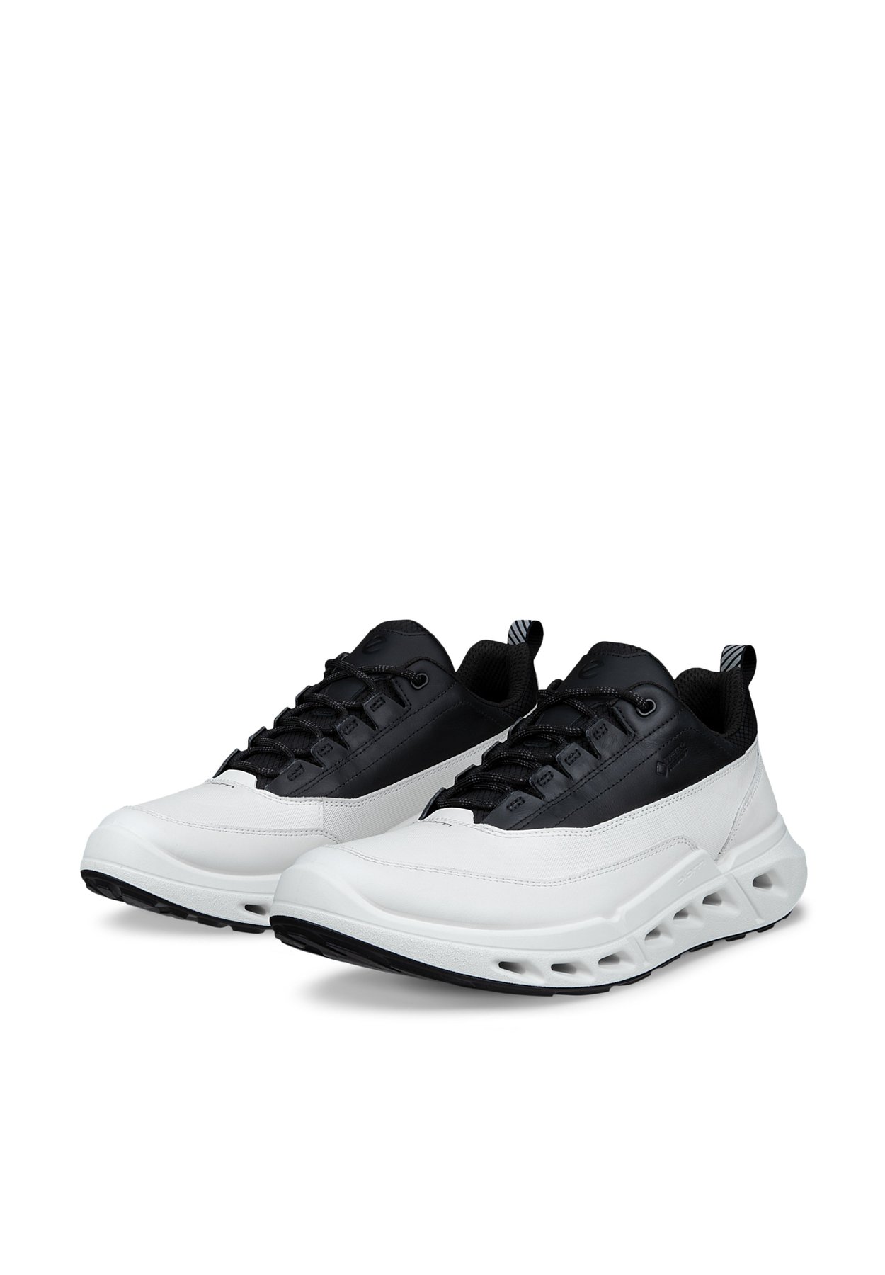 BIOM 720