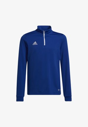 ENTRADA 22 - Sweatshirt - royblu