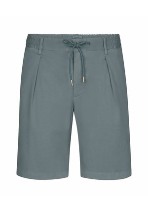 Shorts bleu-gris clair avec une taille à cordon, un devant plissé et une texture lisse. Dotés de deux poches latérales et d'un design épuré.