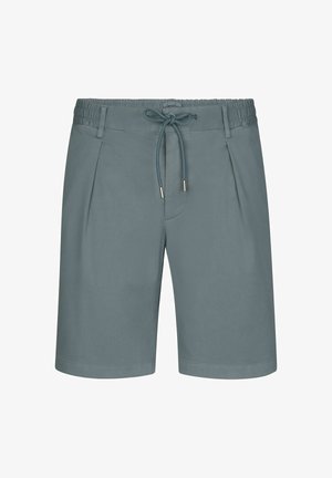 Shorts bleu-gris clair avec une taille à cordon, un devant plissé et une texture lisse. Dotés de deux poches latérales et d'un design épuré.