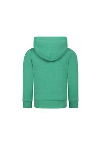Felpa verde chiaro con cappuccio con coulisse, polsini e vita a coste, caratterizzata da una texture morbida e un design semplice e uniforme.