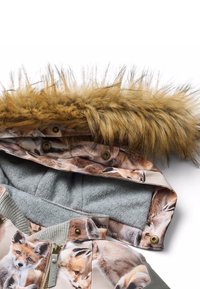 Molo HOPLA JACKET UNISEX - Žieminė striukė - brown