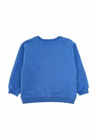 Felpa blu in tessuto morbido, presenta un collo rotondo, maniche lunghe con polsini a costine e orlo dritto. La vista posteriore mostra un design pulito.