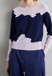 Pull en tricot avec des blocs de couleur bleu marine et rose clair, présentant un col rond, des poignets et un ourlet en côtes, fabriqué en matériau doux.
