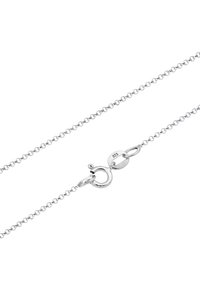 Collana in argento 925 con design a maglie tonde e chiusura a moschettone. Presenta una superficie liscia e un leggero luccichio.