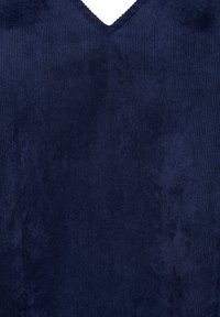 Zizzi Dnevna haljina - medieval blue