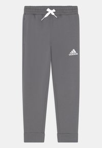 adidas Performance ENTRADA PANT - Pantaloni sportivi - team grey  four/grigio 