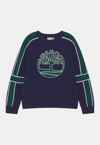 Granatowy sweter z dzianiny z zielonym logiem drzewa, paskowanymi akcentami w zielonym i białym kolorze na rękawach oraz żeberkowym okrągłym dekoltem.