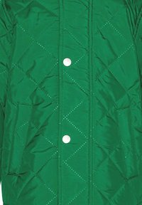 Molo HALLOW - Allvädersjacka - vivid green