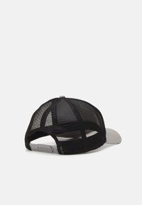 Santa Cruz OVAL CHECK FLAME UNISEX - Gorra - white/stone grey