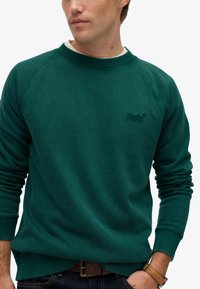 Groene sweatshirt van gestructureerde stof, met ribbels bij de manchetten en de onderrand, een subtiel logo op de borst en een ronde hals.